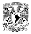 Logo de la UNAM
